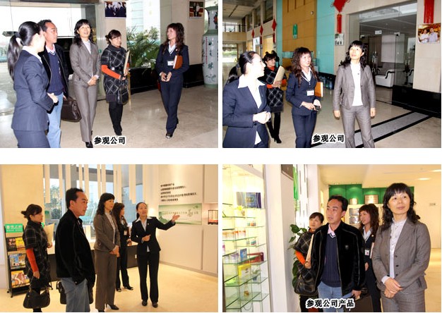 政協(xié)湖南省長沙市委員會副主席段安娜一行調研綠之韻集團