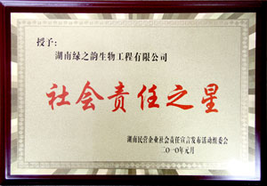 綠之韻集團董事常務副總經(jīng)理勞嘉獲“社會責任之星”稱號