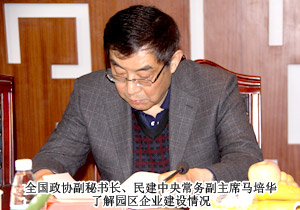 全國政協(xié)副秘書長、民建中央常務(wù)副主席馬培華一行蒞臨綠之韻集團(tuán)考察