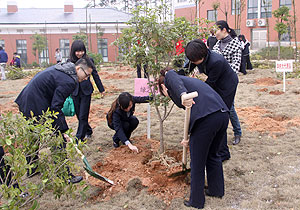 綠之韻集團開展3?12植樹活動