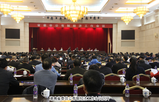 綠之韻集團(tuán)董事長(zhǎng)胡國(guó)安出席湖南省委非公有制經(jīng)濟(jì)工作會(huì)議，并接受湖南衛(wèi)視、經(jīng)視采訪