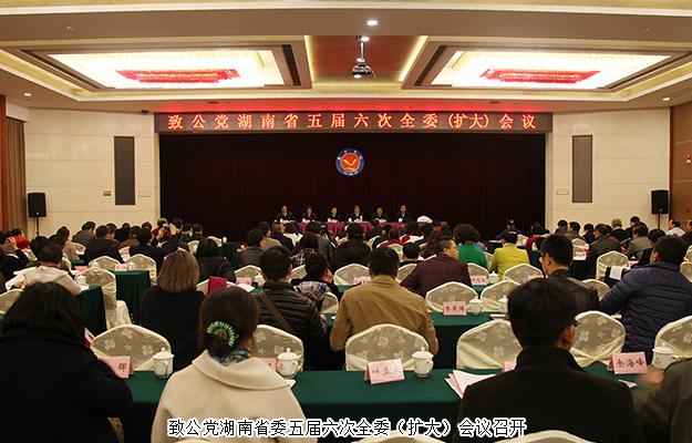 湖南省政協(xié)委員胡國(guó)安應(yīng)邀出席致公黨湖南省委五屆六次全委（擴(kuò)大）會(huì)議