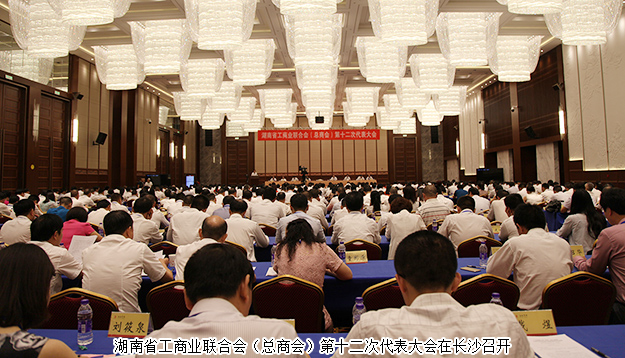 胡國安當(dāng)選湖南省第十二屆工商聯(lián)（總商會）副會長