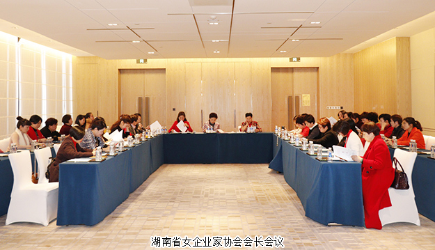 勞嘉總裁獲評湖南省女企業(yè)家協會“十大社會責任人物”獎