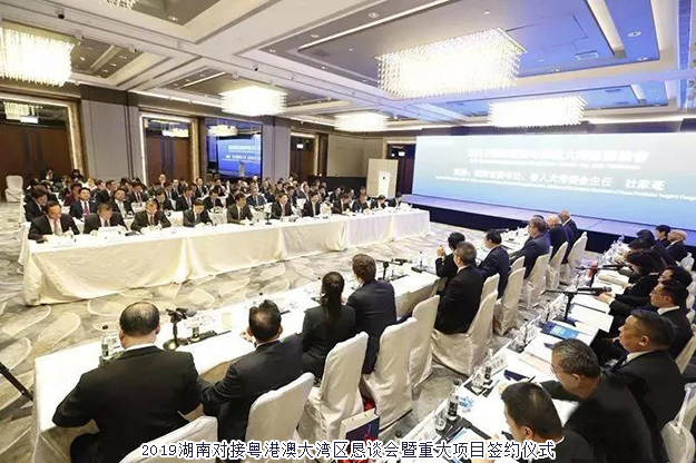 胡國安董事長(zhǎng)參加2019湖南-粵港澳大灣區(qū)投資貿(mào)易洽談周，探索融入大灣區(qū)，布局“大健康+金融”