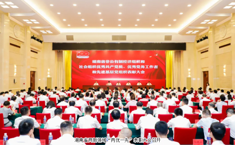 湖南省兩新領(lǐng)域“兩優(yōu)一先”表彰大會召開，綠之韻集團黨委書記劉云榮獲湖南省“優(yōu)秀黨務(wù)工作者”榮譽