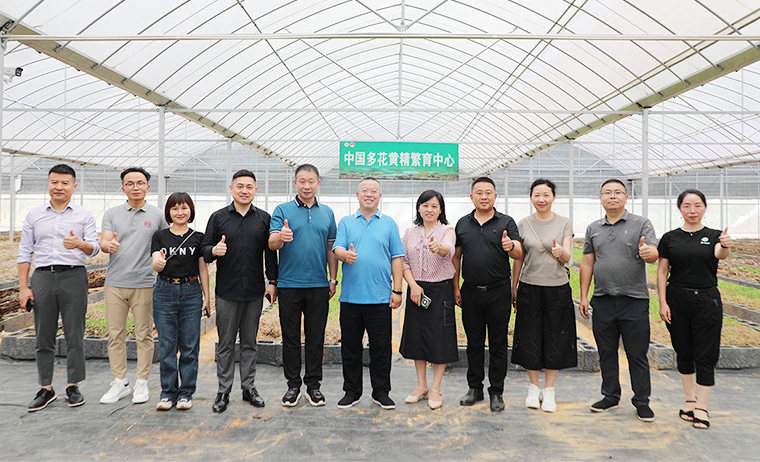 盡職履責(zé) 共謀家鄉(xiāng)產(chǎn)業(yè)振興 | 胡國安董事長考察安化黃精產(chǎn)業(yè)發(fā)展，助力鄉(xiāng)村振興造福桑梓